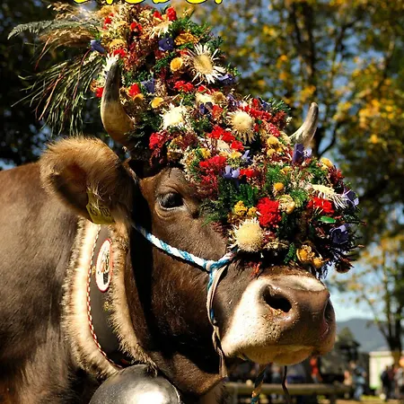 Alpgaustrasse * Oberstdorf