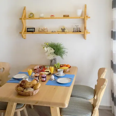 Alpgaustrasse Apartment *